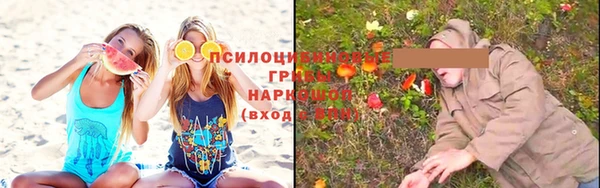 прущие крисы Белоозёрский