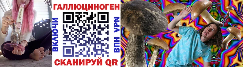 купить наркоту  Когалым  Псилоцибиновые грибы Psilocybe 