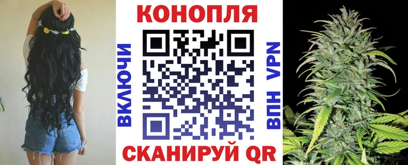 Конопля MAZAR  Когалым 